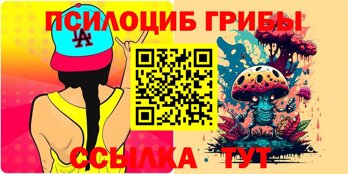 Альметьевск  Псилоцибиновые грибы Psilocybine cubensis  Вход с VPN  Псилоцибиновые грибы MAGIC MUSHROOMS 